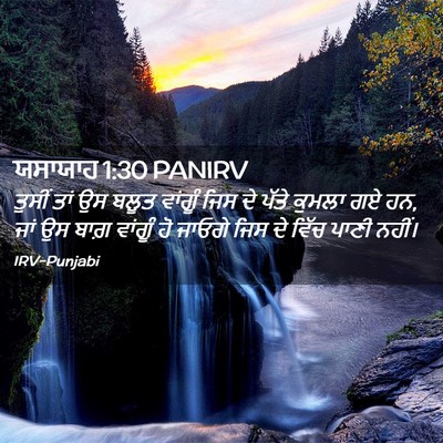 Picture 02 - ਯਸਾਯਾਹ 1:30 PANIRV - ਤੁਸੀਂ ਤਾਂ ਉਸ ਬਲੂਤ - Bible Verse Picture