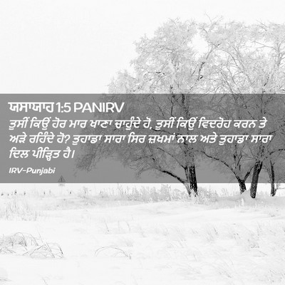 Picture 02 - ਯਸਾਯਾਹ 1:5 PANIRV - ਤੁਸੀਂ ਕਿਉਂ ਹੋਰ ਮਾਰ - Bible Verse Picture