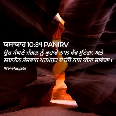 Picture 02 - ਯਸਾਯਾਹ 10:34 PANIRV - ਉਹ ਸੰਘਣੇ ਜੰਗਲ ਨੂੰ - Bible Verse Picture