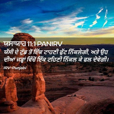 Picture 02 - ਯਸਾਯਾਹ 11:1 PANIRV - ਯੱਸੀ ਦੇ ਟੁੰਡ ਤੋਂ - Bible Verse Picture