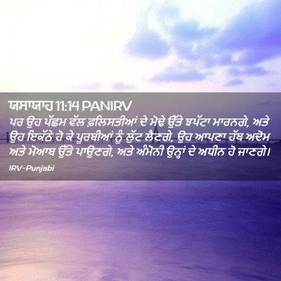 Picture 02 - ਯਸਾਯਾਹ 11:14 PANIRV - ਪਰ ਉਹ ਪੱਛਮ ਵੱਲ - Bible Verse Picture