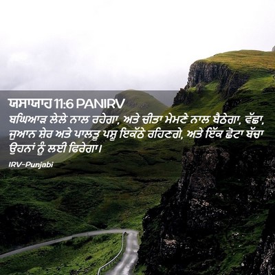 Picture 02 - ਯਸਾਯਾਹ 11:6 PANIRV - ਬਘਿਆੜ ਲੇਲੇ ਨਾਲ - Bible Verse Picture