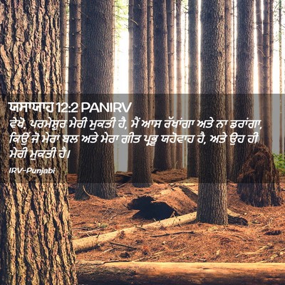 Picture 02 - ਯਸਾਯਾਹ 12:2 PANIRV - ਵੇਖੋ, ਪਰਮੇਸ਼ੁਰ - Bible Verse Picture
