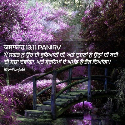 Picture 02 - ਯਸਾਯਾਹ 13:11 PANIRV - ਮੈਂ ਜਗਤ ਨੂੰ ਉਹ ਦੀ - Bible Verse Picture