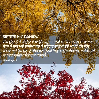 Picture 02 - ਯਸਾਯਾਹ 14:2 PANIRV - ਲੋਕ ਉਨ੍ਹਾਂ ਨੂੰ ਲੈ - Bible Verse Picture