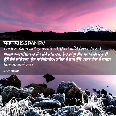 Picture 02 - ਯਸਾਯਾਹ 15:5 PANIRV - ਮੇਰਾ ਦਿਲ ਮੋਆਬ ਲਈ - Bible Verse Picture