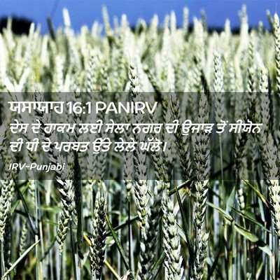 Picture 02 - ਯਸਾਯਾਹ 16:1 PANIRV - ਦੇਸ ਦੇ ਹਾਕਮ ਲਈ ਸੇਲਾ - Bible Verse Picture