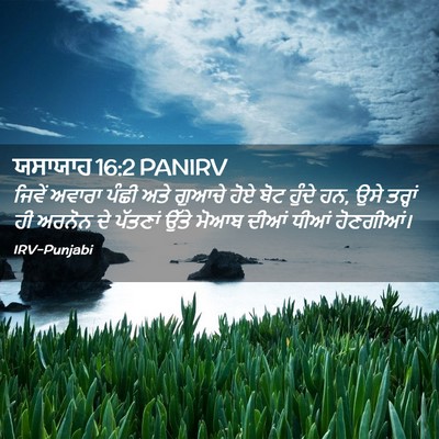Picture 02 - ਯਸਾਯਾਹ 16:2 PANIRV - ਜਿਵੇਂ ਅਵਾਰਾ ਪੰਛੀ - Bible Verse Picture