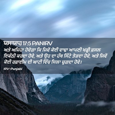 Picture 02 - ਯਸਾਯਾਹ 17:5 PANIRV - ਅਤੇ ਅਜਿਹਾ ਹੋਵੇਗਾ - Bible Verse Picture