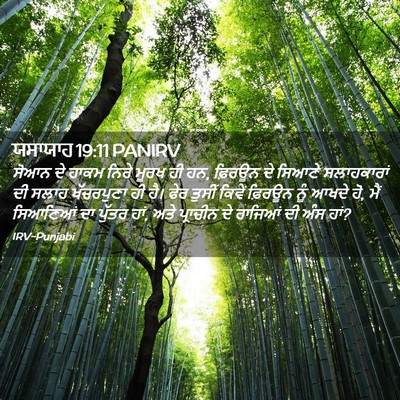 Picture 02 - ਯਸਾਯਾਹ 19:11 PANIRV - ਸੋਆਨ ਦੇ ਹਾਕਮ ਨਿਰੇ - Bible Verse Picture