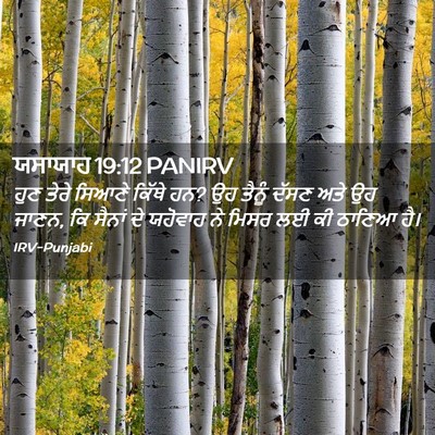 Picture 02 - ਯਸਾਯਾਹ 19:12 PANIRV - ਹੁਣ ਤੇਰੇ ਸਿਆਣੇ - Bible Verse Picture