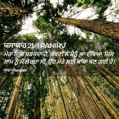 Picture 02 - ਯਸਾਯਾਹ 21:4 PANIRV - ਮੇਰਾ ਦਿਲ ਧੜਕਦਾ ਹੈ, - Bible Verse Picture