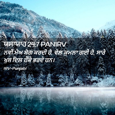 Picture 02 - ਯਸਾਯਾਹ 24:7 PANIRV - ਨਵੀਂ ਮੈਅ ਸੋਗ ਕਰਦੀ - Bible Verse Picture