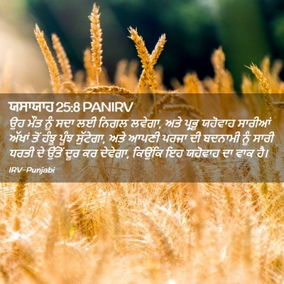 Picture 02 - ਯਸਾਯਾਹ 25:8 PANIRV - ਉਹ ਮੌਤ ਨੂੰ ਸਦਾ ਲਈ - Bible Verse Picture