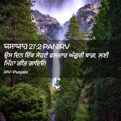 Picture 02 - ਯਸਾਯਾਹ 27:2 PANIRV - ਉਸ ਦਿਨ ਇੱਕ ਸੋਹਣੇ - Bible Verse Picture