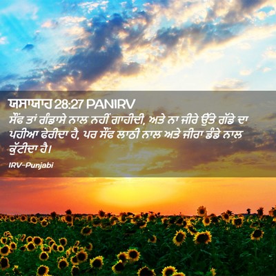Picture 02 - ਯਸਾਯਾਹ 28:27 PANIRV - ਸੌਂਫ ਤਾਂ ਗੰਡਾਸੇ - Bible Verse Picture