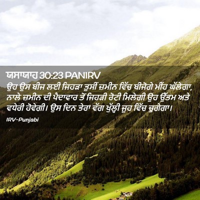 Picture 02 - ਯਸਾਯਾਹ 30:23 PANIRV - ਉਹ ਉਸ ਬੀਜ ਲਈ ਜਿਹੜਾ - Bible Verse Picture