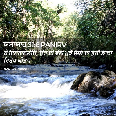 Picture 02 - ਯਸਾਯਾਹ 31:6 PANIRV - ਹੇ ਇਸਰਾਏਲੀਓ, ਉਹ ਦੀ - Bible Verse Picture