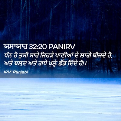 Picture 02 - ਯਸਾਯਾਹ 32:20 PANIRV - ਧੰਨ ਹੋ ਤੁਸੀਂ ਸਾਰੇ - Bible Verse Picture