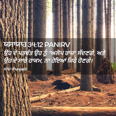 Picture 02 - ਯਸਾਯਾਹ 34:12 PANIRV - ਉਹ ਦੇ ਪਤਵੰਤ ਉਹ ਨੂੰ - Bible Verse Picture
