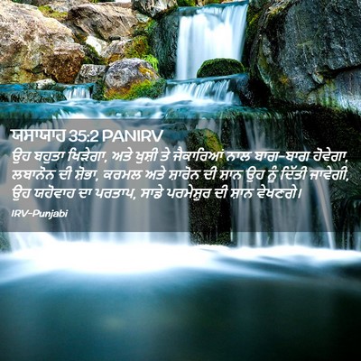 Picture 02 - ਯਸਾਯਾਹ 35:2 PANIRV - ਉਹ ਬਹੁਤਾ ਖਿੜੇਗਾ, - Bible Verse Picture