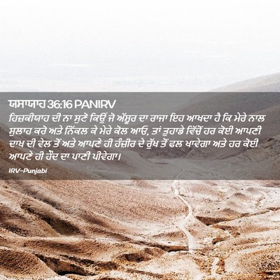 Picture 02 - ਯਸਾਯਾਹ 36:16 PANIRV - ਹਿਜ਼ਕੀਯਾਹ ਦੀ ਨਾ - Bible Verse Picture