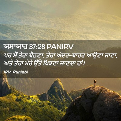 Picture 02 - ਯਸਾਯਾਹ 37:28 PANIRV - ਪਰ ਮੈਂ ਤੇਰਾ ਬੈਠਣਾ, - Bible Verse Picture