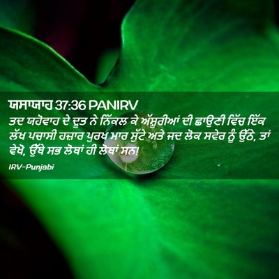 Picture 02 - ਯਸਾਯਾਹ 37:36 PANIRV - ਤਦ ਯਹੋਵਾਹ ਦੇ ਦੂਤ ਨੇ - Bible Verse Picture