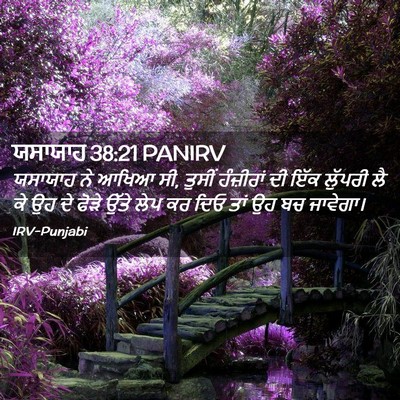 Picture 02 - ਯਸਾਯਾਹ 38:21 PANIRV - ਯਸਾਯਾਹ ਨੇ ਆਖਿਆ ਸੀ, - Bible Verse Picture