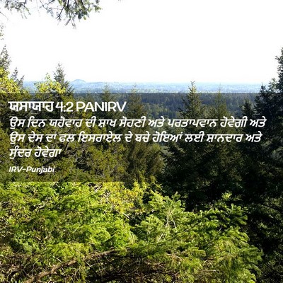 Picture 02 - ਯਸਾਯਾਹ 4:2 PANIRV - ਉਸ ਦਿਨ ਯਹੋਵਾਹ ਦੀ - Bible Verse Picture