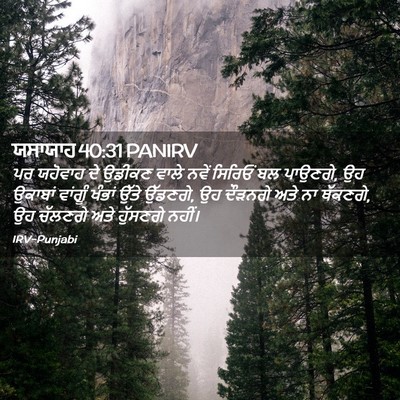Picture 02 - ਯਸਾਯਾਹ 40:31 PANIRV - ਪਰ ਯਹੋਵਾਹ ਦੇ ਉਡੀਕਣ - Bible Verse Picture