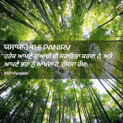 Picture 02 - ਯਸਾਯਾਹ 41:6 PANIRV - ਹਰੇਕ ਆਪਣੇ ਗੁਆਂਢੀ - Bible Verse Picture