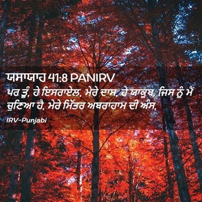 Picture 02 - ਯਸਾਯਾਹ 41:8 PANIRV - ਪਰ ਤੂੰ, ਹੇ ਇਸਰਾਏਲ, - Bible Verse Picture