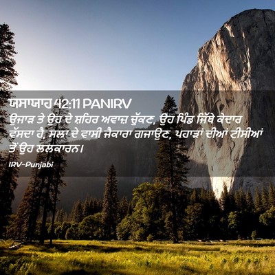 Picture 02 - ਯਸਾਯਾਹ 42:11 PANIRV - ਉਜਾੜ ਤੇ ਉਹ ਦੇ ਸ਼ਹਿਰ - Bible Verse Picture