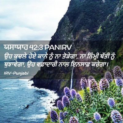 Picture 02 - ਯਸਾਯਾਹ 42:3 PANIRV - ਉਹ ਕੁਚਲੇ ਹੋਏ ਕਾਨੇ - Bible Verse Picture