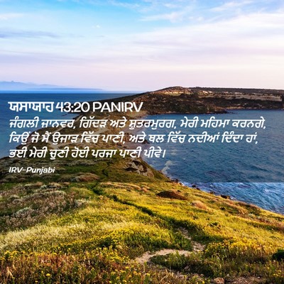 Picture 02 - ਯਸਾਯਾਹ 43:20 PANIRV - ਜੰਗਲੀ ਜਾਨਵਰ, ਗਿੱਦੜ - Bible Verse Picture