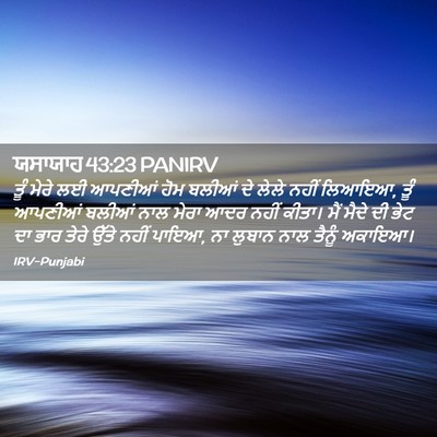 Picture 02 - ਯਸਾਯਾਹ 43:23 PANIRV - ਤੂੰ ਮੇਰੇ ਲਈ ਆਪਣੀਆਂ - Bible Verse Picture