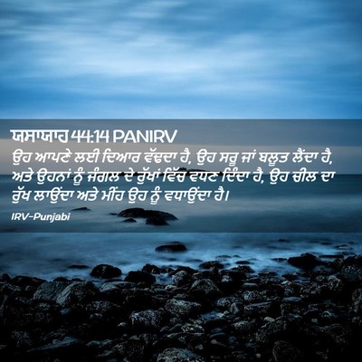 Picture 02 - ਯਸਾਯਾਹ 44:14 PANIRV - ਉਹ ਆਪਣੇ ਲਈ ਦਿਆਰ - Bible Verse Picture