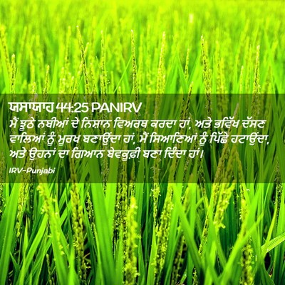 Picture 02 - ਯਸਾਯਾਹ 44:25 PANIRV - ਮੈਂ ਝੂਠੇ ਨਬੀਆਂ ਦੇ - Bible Verse Picture