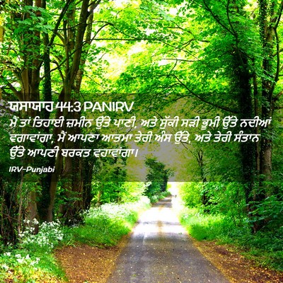 Picture 02 - ਯਸਾਯਾਹ 44:3 PANIRV - ਮੈਂ ਤਾਂ ਤਿਹਾਈ - Bible Verse Picture