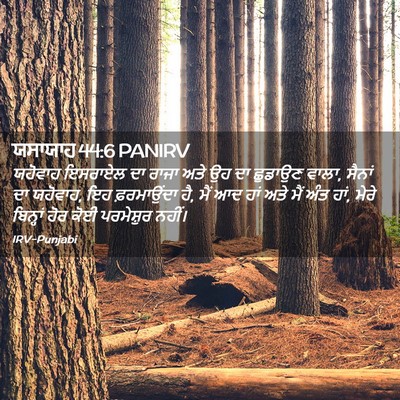 Picture 02 - ਯਸਾਯਾਹ 44:6 PANIRV - ਯਹੋਵਾਹ ਇਸਰਾਏਲ ਦਾ - Bible Verse Picture