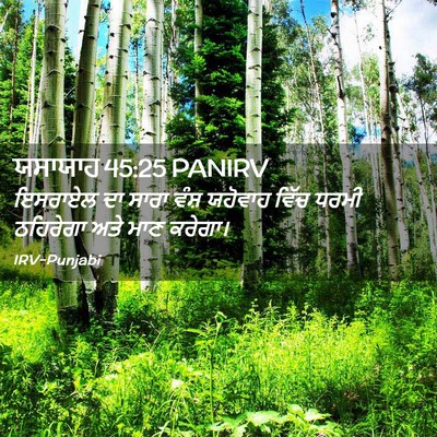 Picture 02 - ਯਸਾਯਾਹ 45:25 PANIRV - ਇਸਰਾਏਲ ਦਾ ਸਾਰਾ - Bible Verse Picture