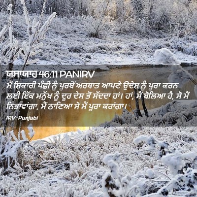 Picture 02 - ਯਸਾਯਾਹ 46:11 PANIRV - ਮੈਂ ਸ਼ਿਕਾਰੀ ਪੰਛੀ - Bible Verse Picture