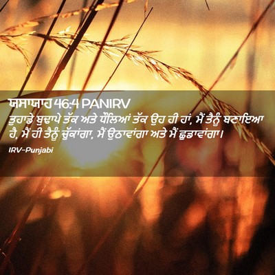 Picture 02 - ਯਸਾਯਾਹ 46:4 PANIRV - ਤੁਹਾਡੇ ਬੁਢਾਪੇ ਤੱਕ - Bible Verse Picture