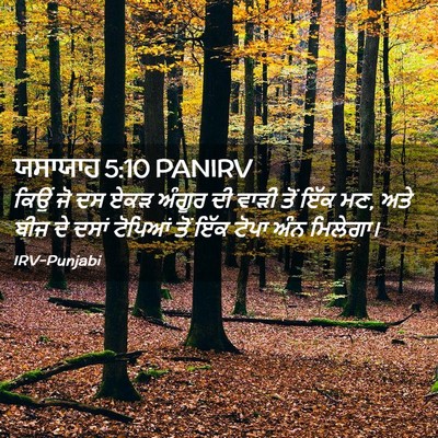 Picture 02 - ਯਸਾਯਾਹ 5:10 PANIRV - ਕਿਉਂ ਜੋ ਦਸ ਏਕੜ - Bible Verse Picture