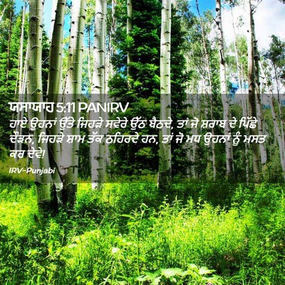 Picture 02 - ਯਸਾਯਾਹ 5:11 PANIRV - ਹਾਏ ਉਹਨਾਂ ਉੱਤੇ - Bible Verse Picture