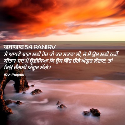 Picture 02 - ਯਸਾਯਾਹ 5:4 PANIRV - ਮੈਂ ਆਪਣੇ ਬਾਗ਼ ਲਈ - Bible Verse Picture