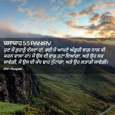 Picture 02 - ਯਸਾਯਾਹ 5:5 PANIRV - ਹੁਣ ਮੈਂ ਤੁਹਾਨੂੰ - Bible Verse Picture