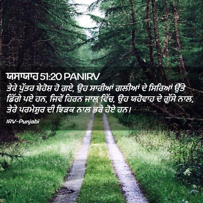 Picture 02 - ਯਸਾਯਾਹ 51:20 PANIRV - ਤੇਰੇ ਪੁੱਤਰ ਬੇਹੋਸ਼ - Bible Verse Picture