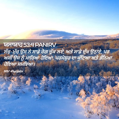 Picture 02 - ਯਸਾਯਾਹ 53:4 PANIRV - ਸੱਚ-ਮੁੱਚ ਉਸ ਨੇ ਸਾਡੇ - Bible Verse Picture